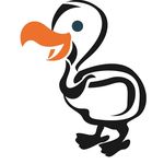 Lingo Dodo discount code